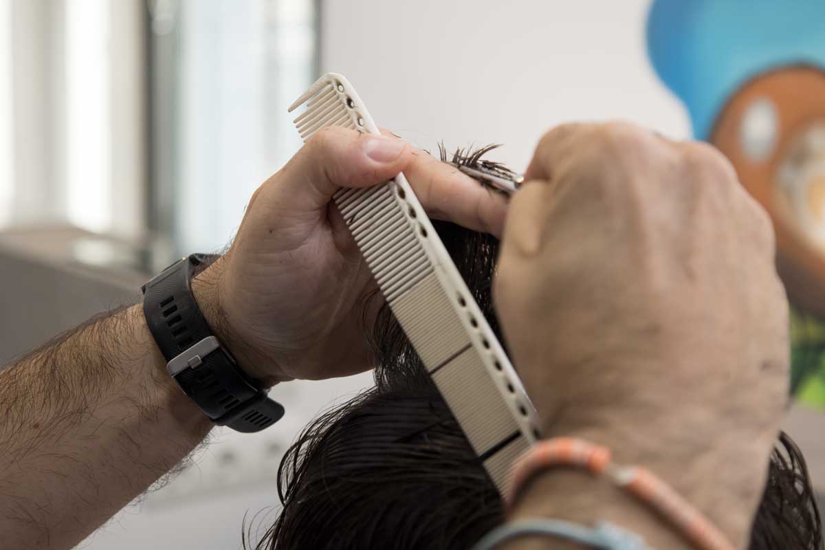 Corte